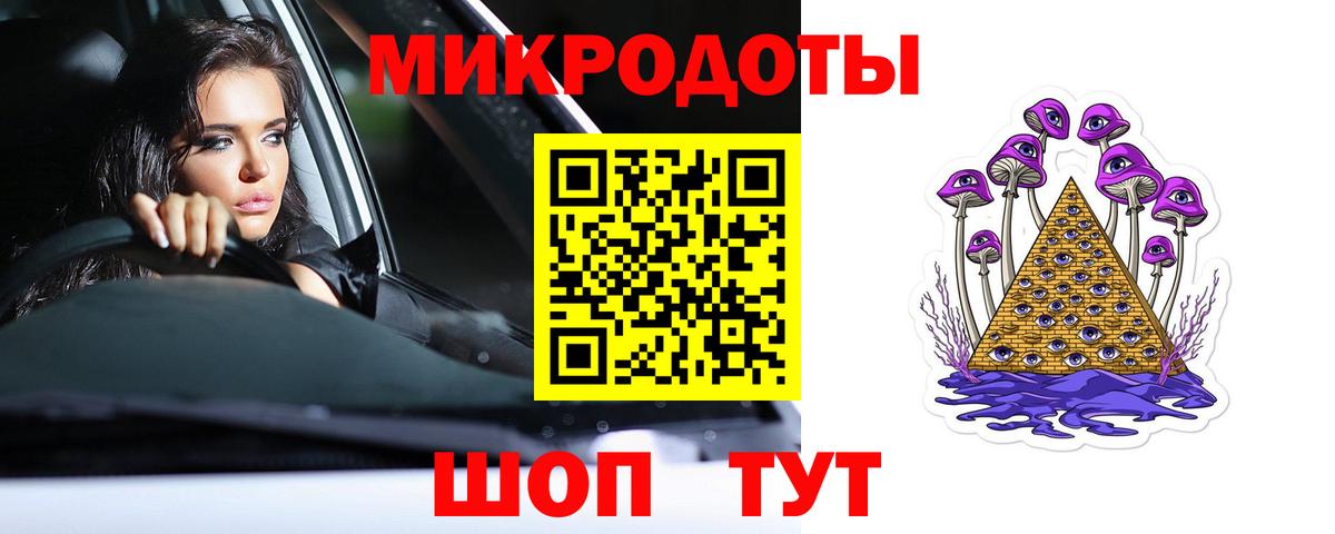 Псилоцибиновые грибы Psilocybe Ростов Великий